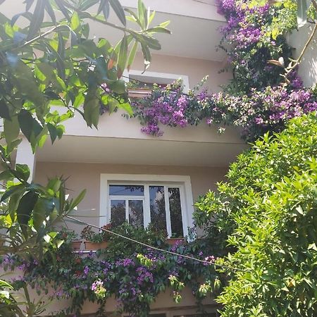 Flowers Guesthouse تيرانا المظهر الخارجي الصورة