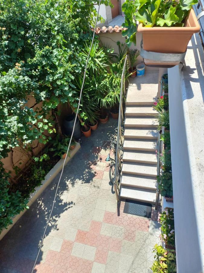 Flowers Guesthouse تيرانا المظهر الخارجي الصورة