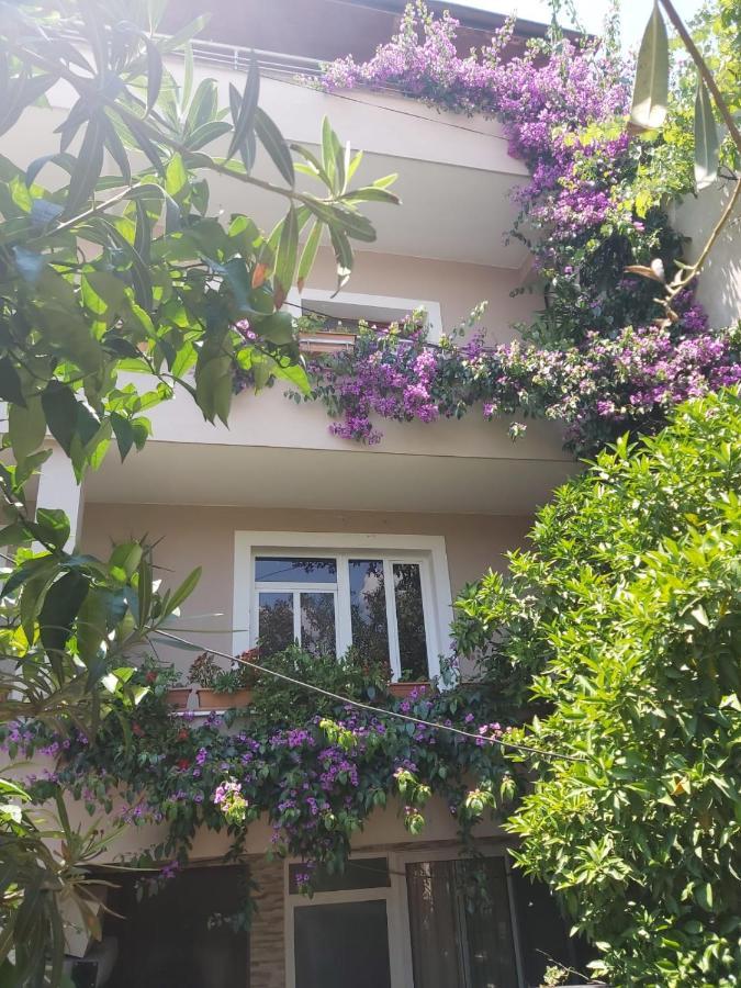 Flowers Guesthouse تيرانا المظهر الخارجي الصورة