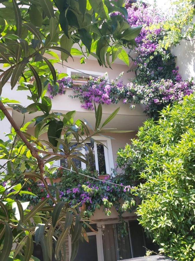 Flowers Guesthouse تيرانا المظهر الخارجي الصورة
