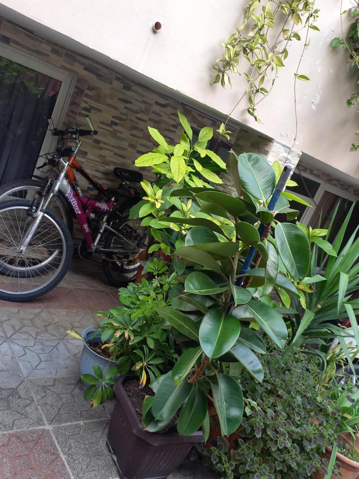 Flowers Guesthouse تيرانا المظهر الخارجي الصورة
